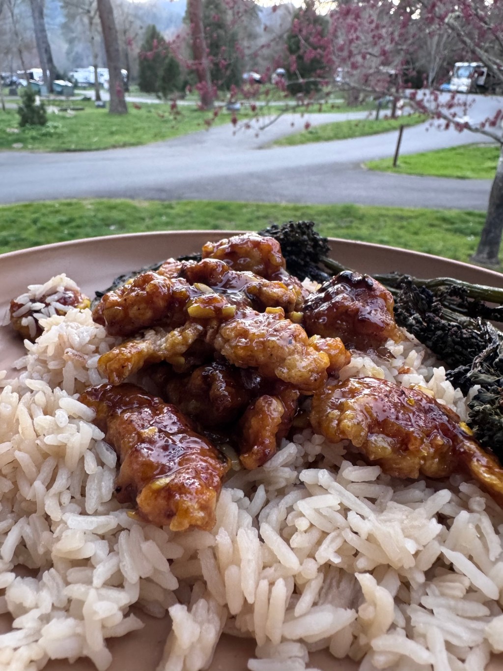 Lemon Garlic Chicken